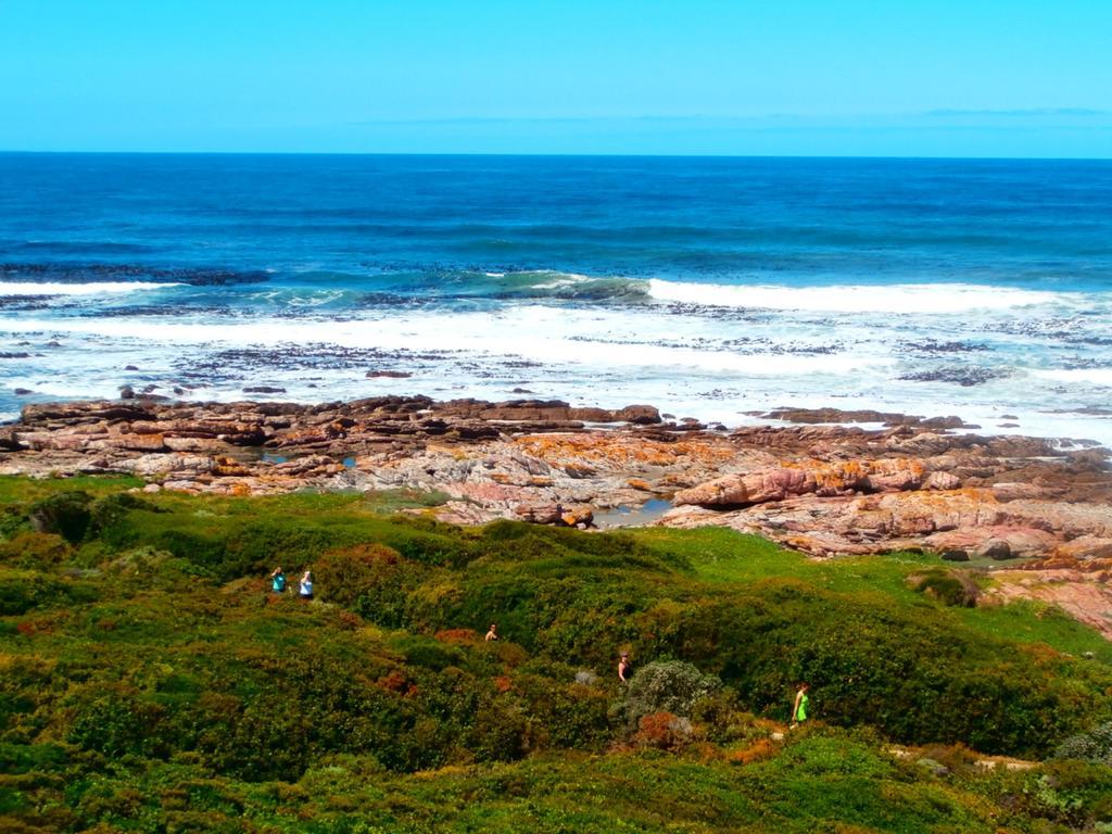 Belle Vue Guesthouse Hermanus Exterior foto
