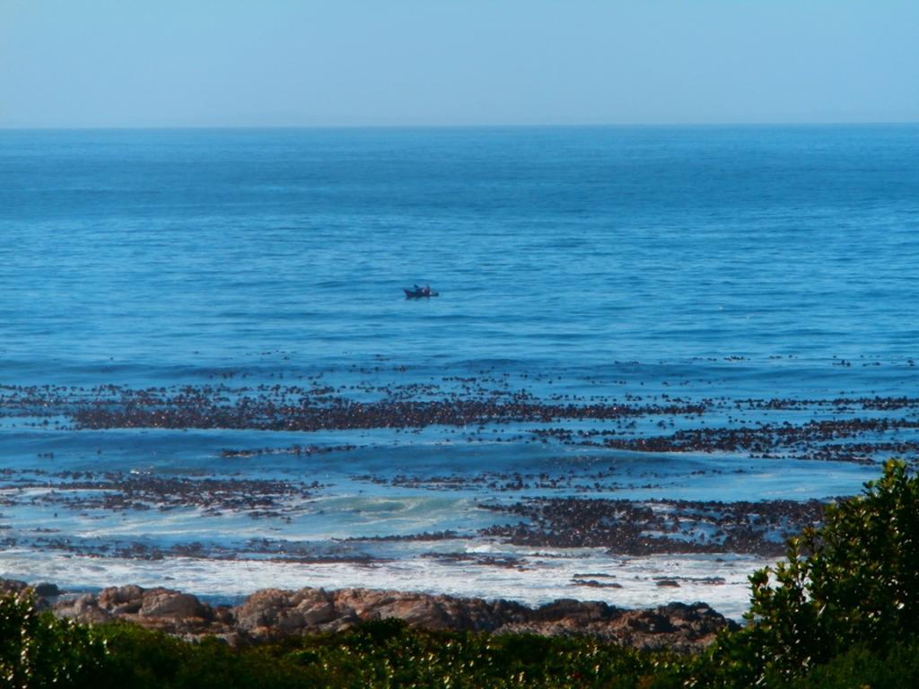 Belle Vue Guesthouse Hermanus Exterior foto