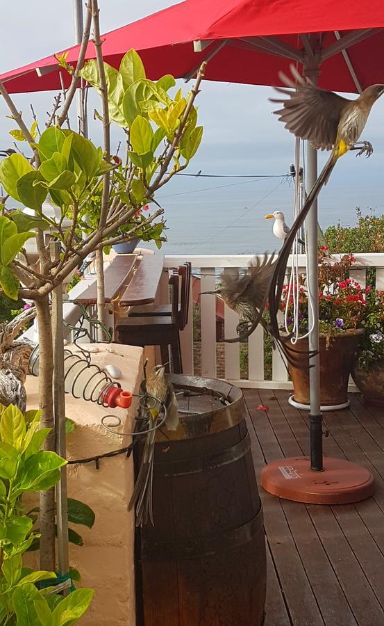 Belle Vue Guesthouse Hermanus Exterior foto